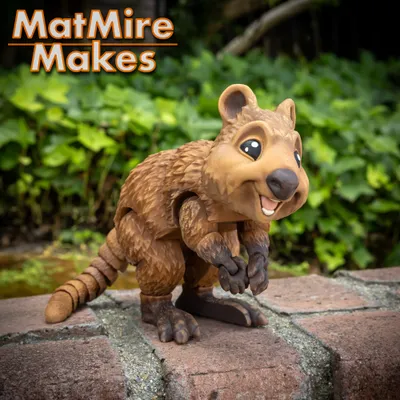 Quokka