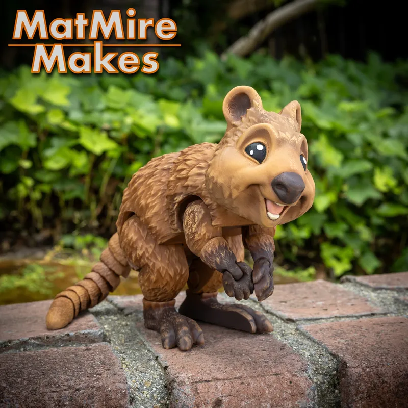 Quokka