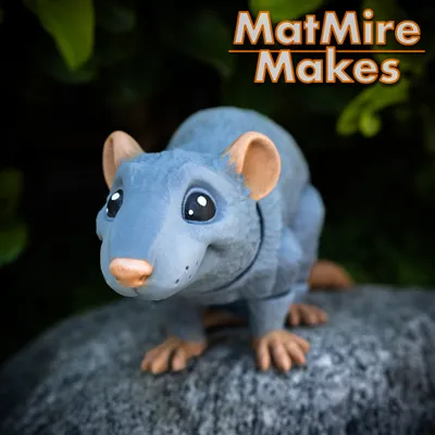 Rat