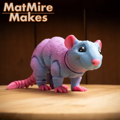 Rat