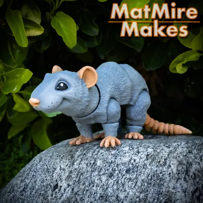 Rat