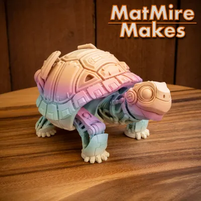 RoboTortoise