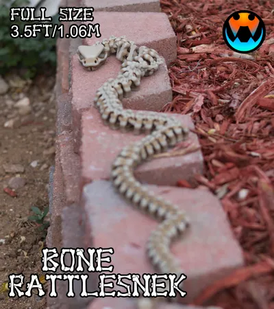 Skeleton RattleSNEK