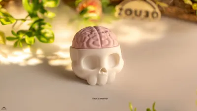 Skull Container