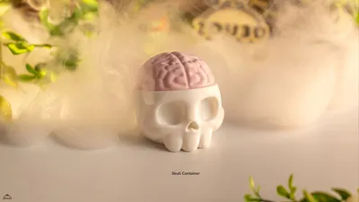 Skull Container