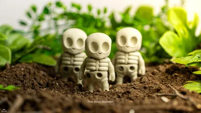 Tiny Alien Skeleton