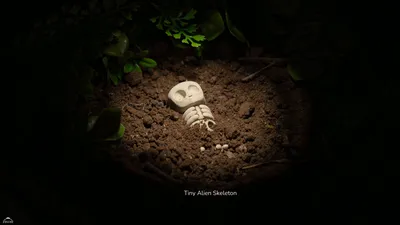 Tiny Alien Skeleton