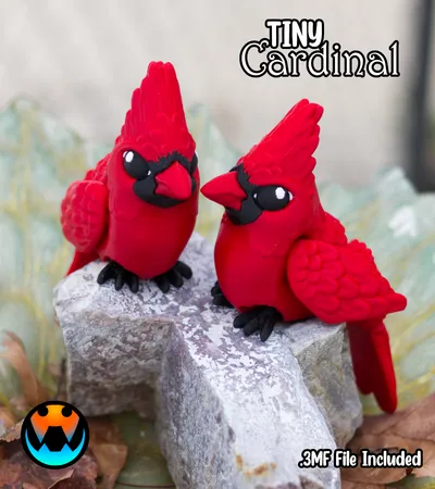 Tiny Cardinal
