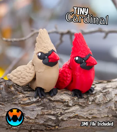 Tiny Cardinal