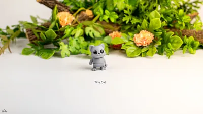 Tiny Cat