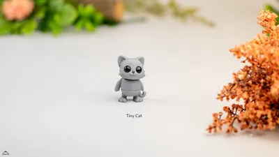 Tiny Cat