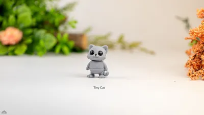 Tiny Cat