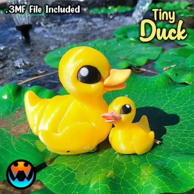 Tiny Duck