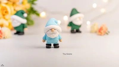 Tiny Gnome
