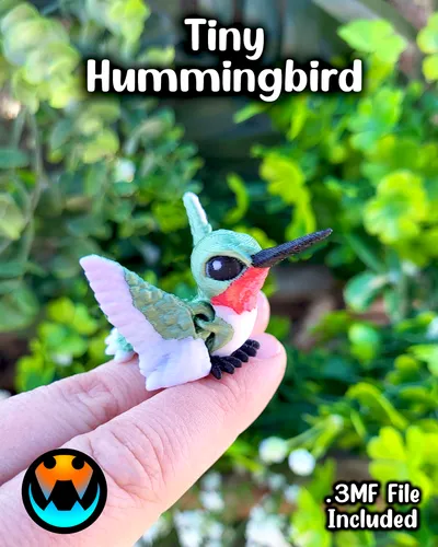 Tiny Hummingbird