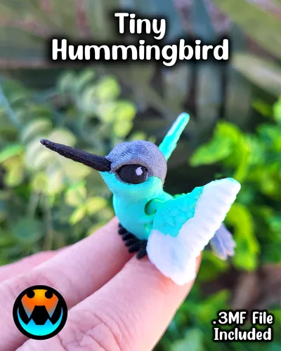 Tiny Hummingbird