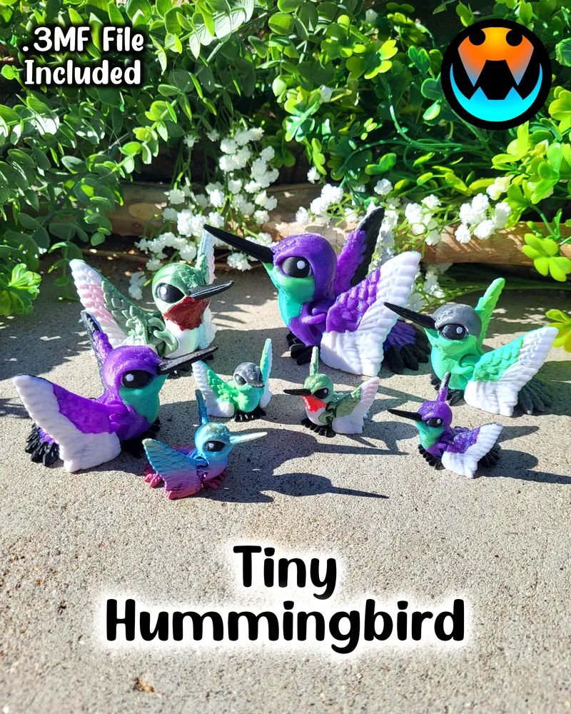 Tiny Hummingbird