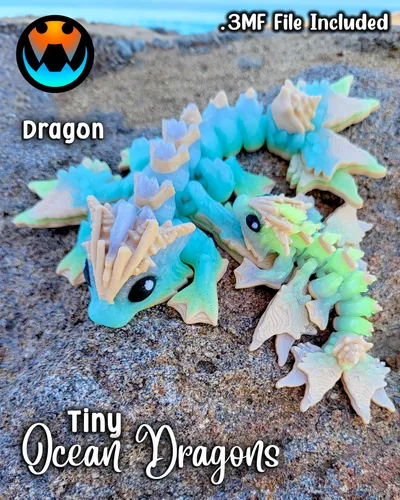 Tiny Ocean Dragon and Wyvern