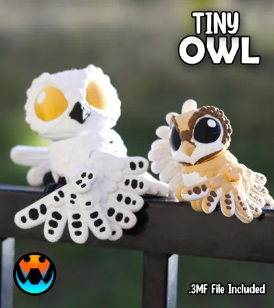 Tiny Owl