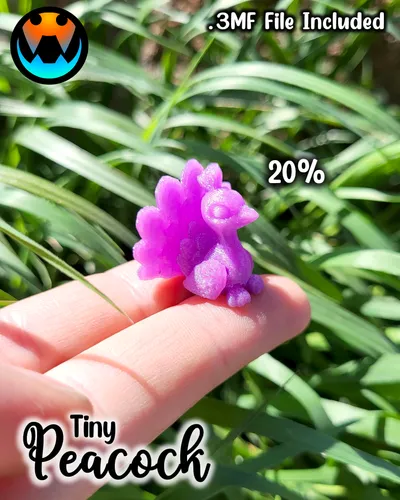 Tiny Peacock