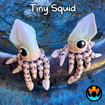 Tiny Squid