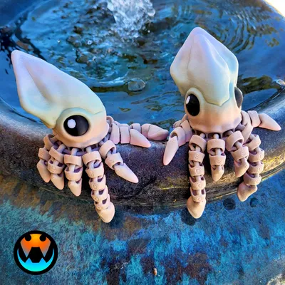 Tiny Squid