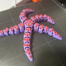 Tiny Starfish