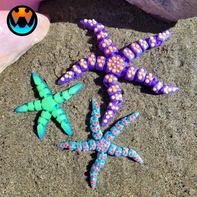 Tiny Starfish