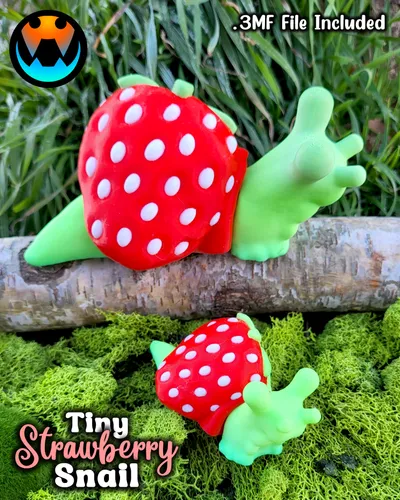 Tiny Strawberry Snail