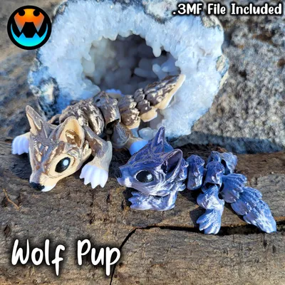Tiny Wolf Pup