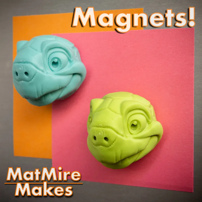 Tortoise Fridge Magnet
