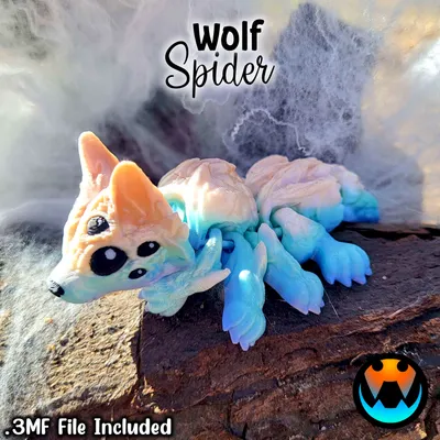 Wolf Spider