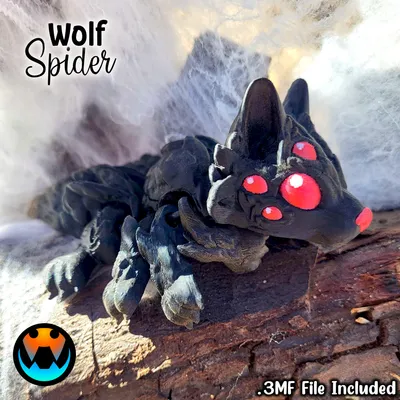Wolf Spider