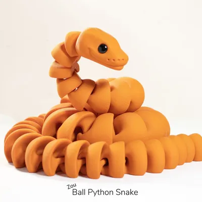 Zou Ball Python Snake
