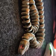 Zou Ball Python Snake