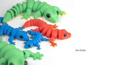 Zou Gecko
