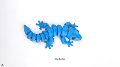 Zou Gecko