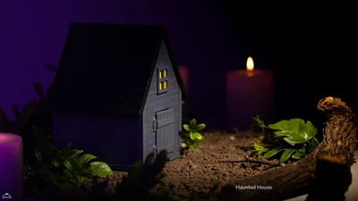 Zou Haunted House
